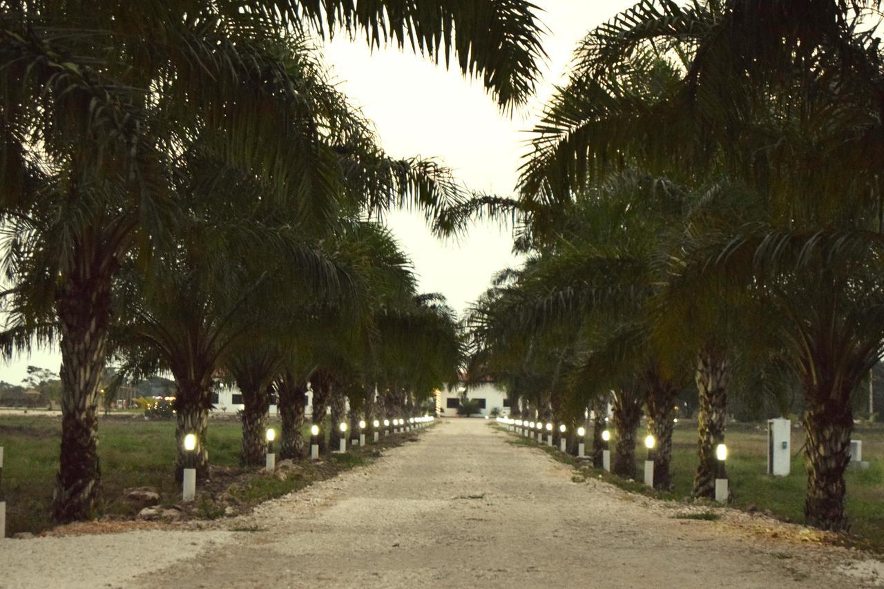 Real Primaveras Campestre Escárcega Εξωτερικό φωτογραφία